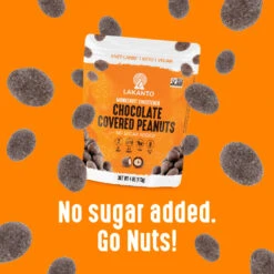 Chocolate Covered Peanuts -Lakanto Food Store Lakanto Amazone ImageStack ChocolateCoveredPeanuts 04