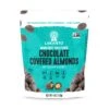 Chocolate Covered Almonds