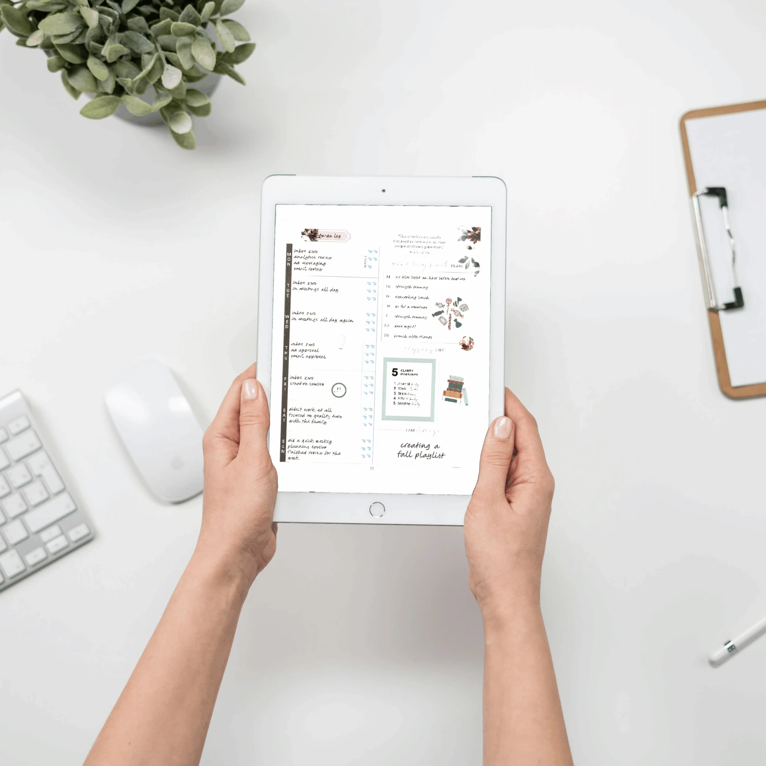 Digital Silk + Sonder Membership (Quarterly) 3 Digital Silk + Sonder Membership (Quarterly) - Image 3