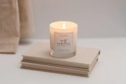 Wild Ambitions Candle - Silk + Sonder -Lakanto Food Store silk sonder wild ambitions candle 30661995528235 1